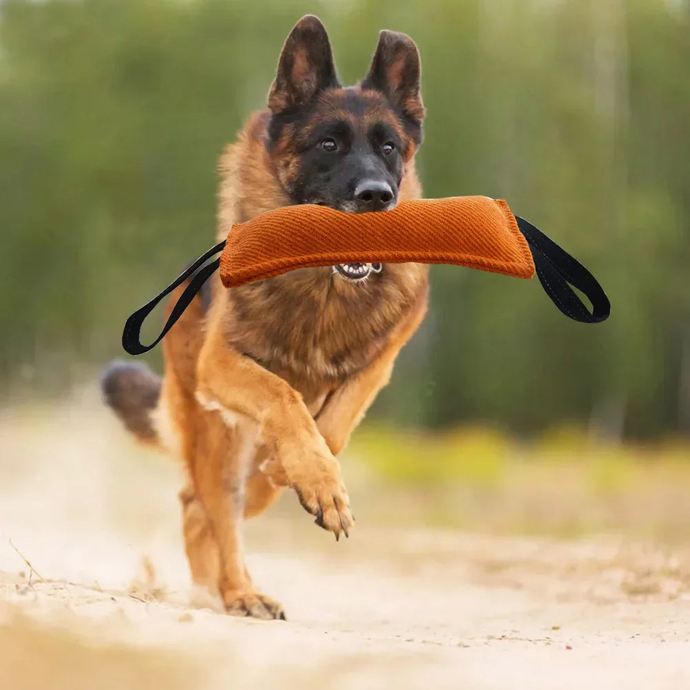 Dog training supplies