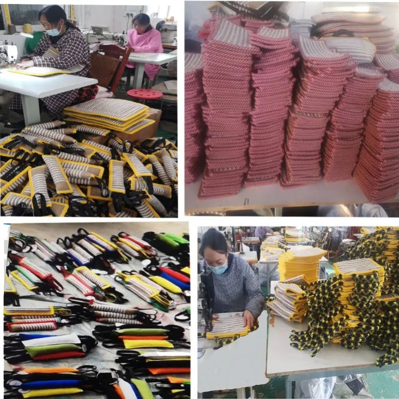 Dog training supplies