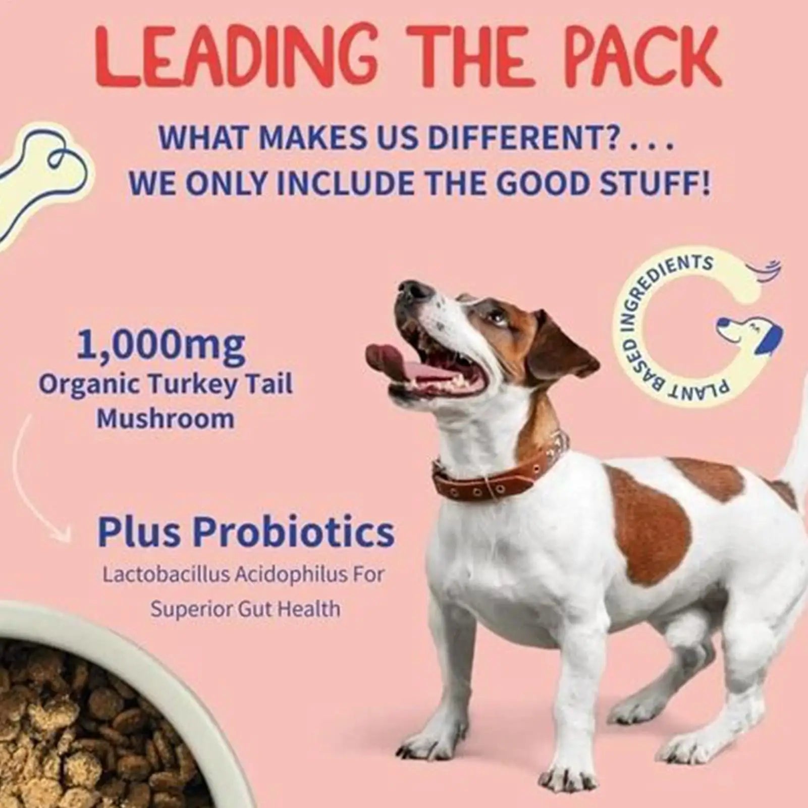 Dog intestinal flora Digestive Support