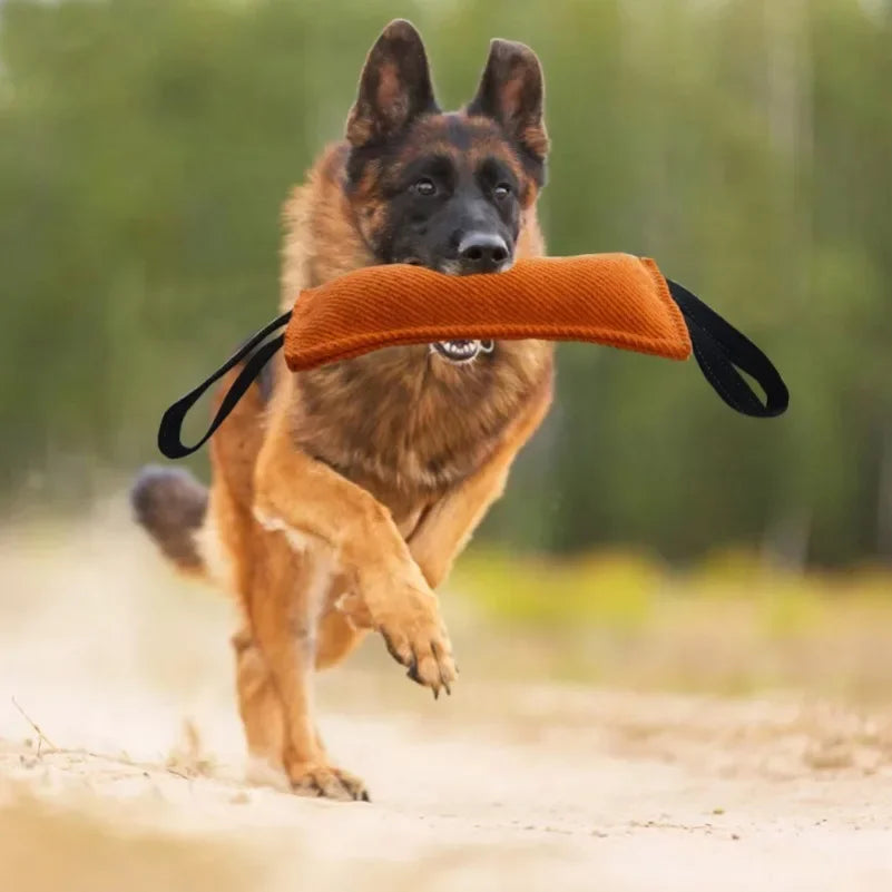 Dog training supplies