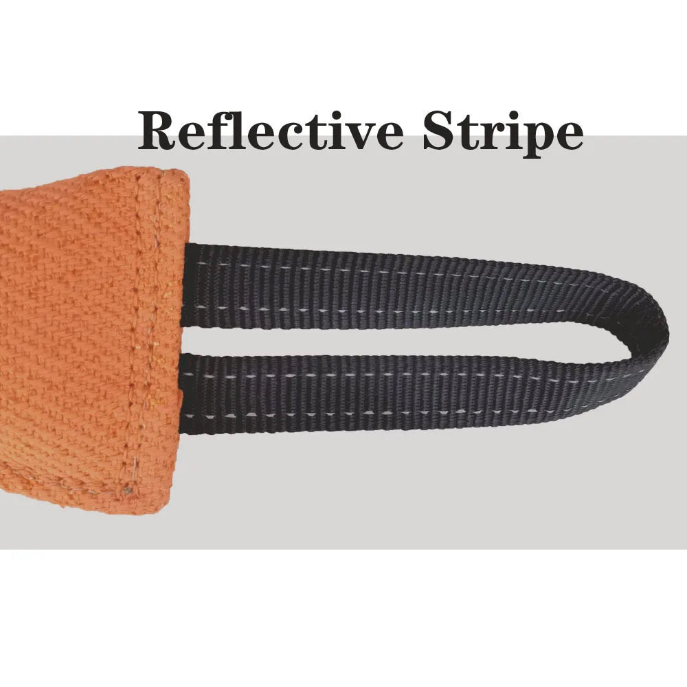 Dog training supplies