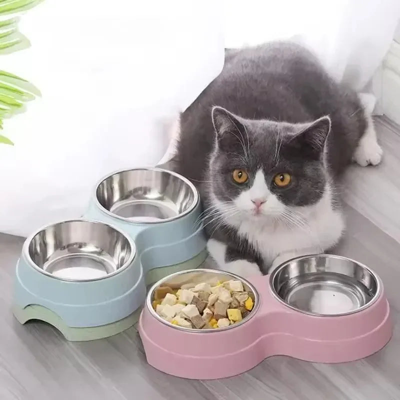 Double Pet Bowls Dog Food