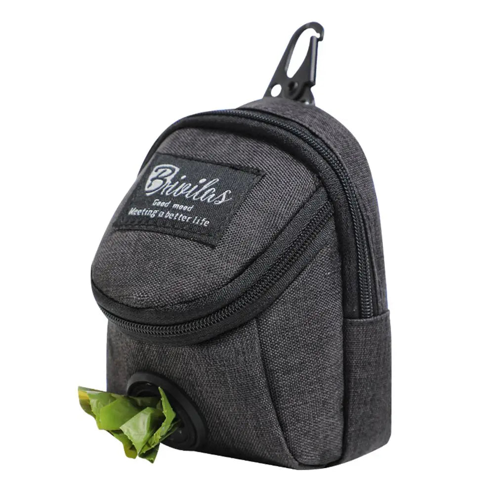 Multifunction training bag