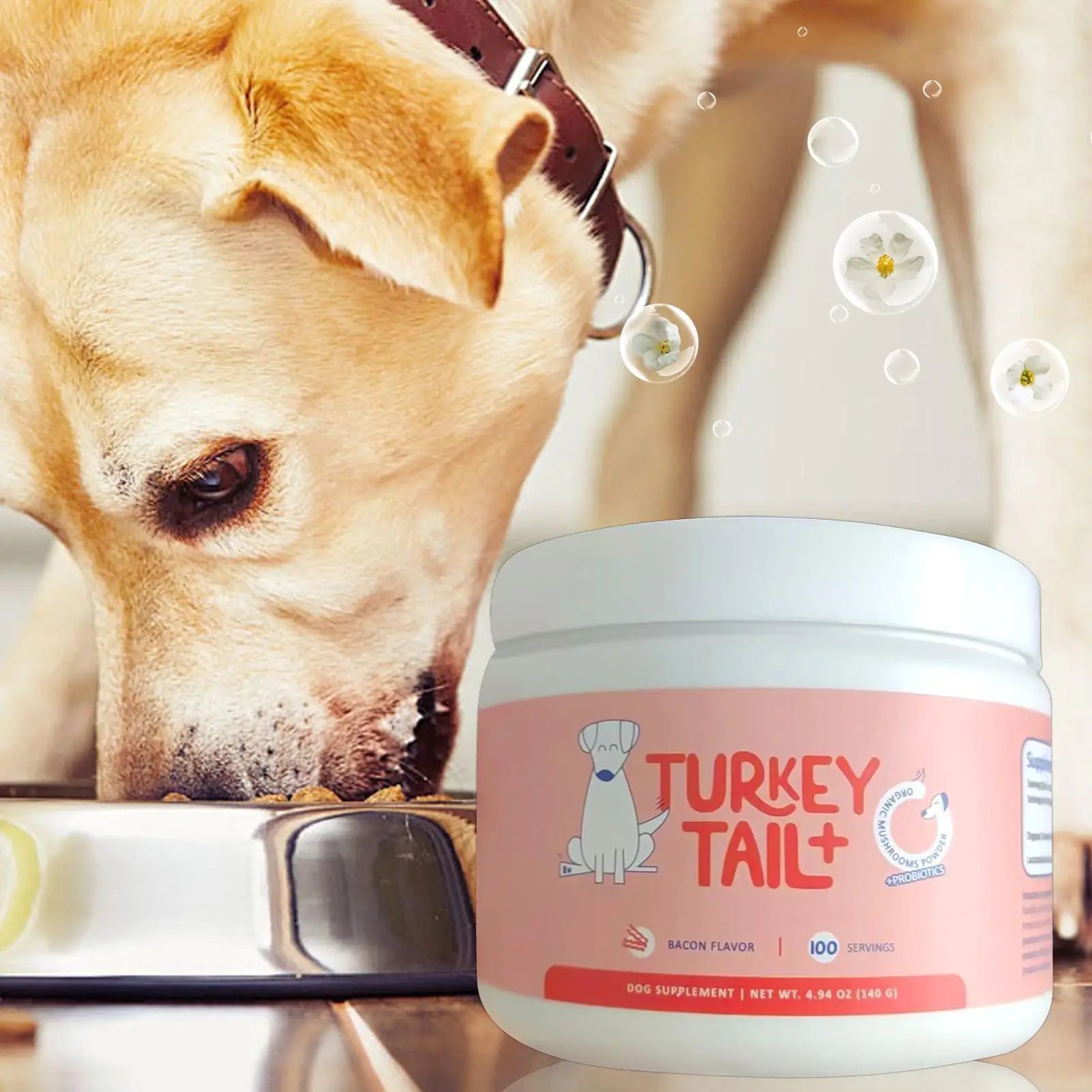 Dog intestinal flora Digestive Support