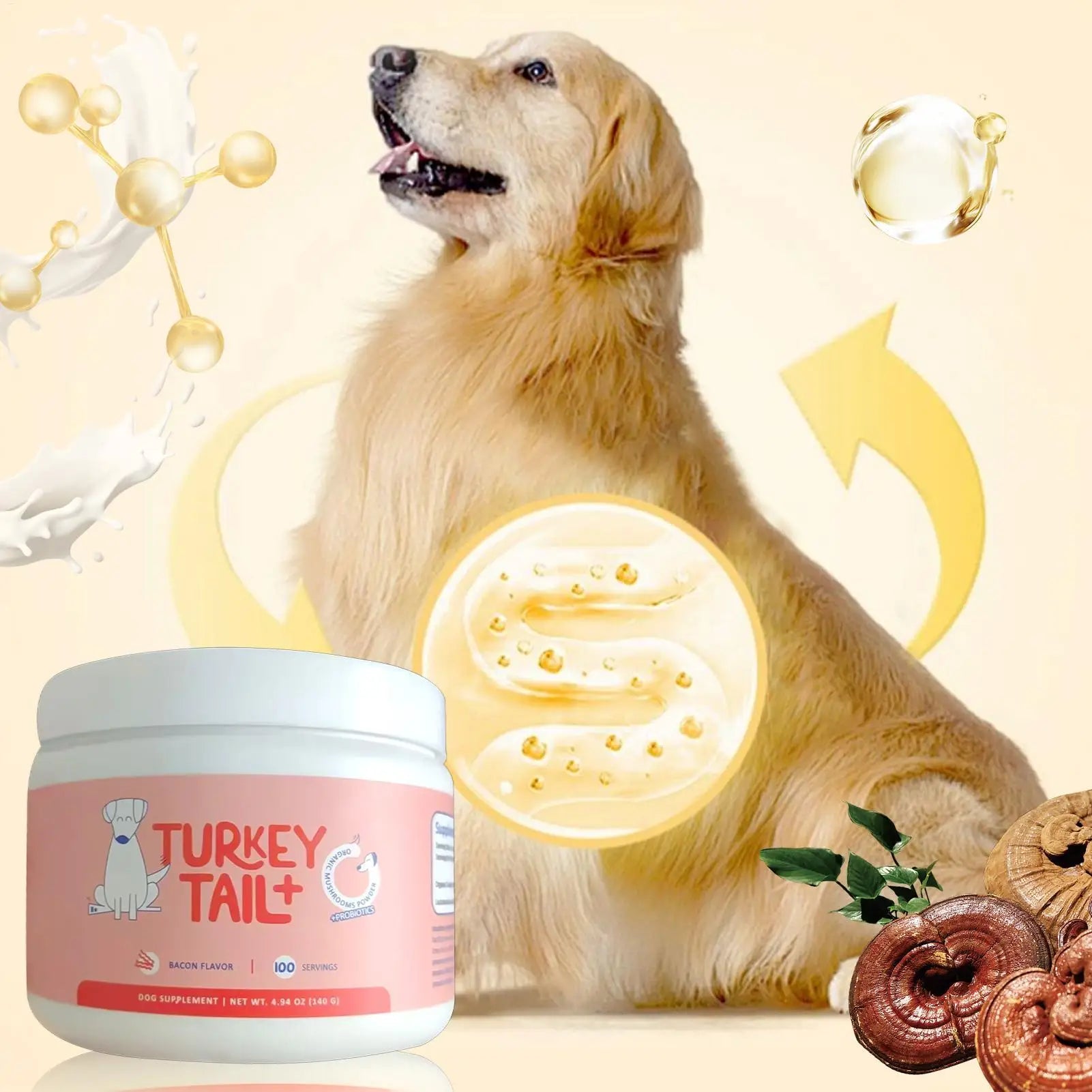 Dog intestinal flora Digestive Support