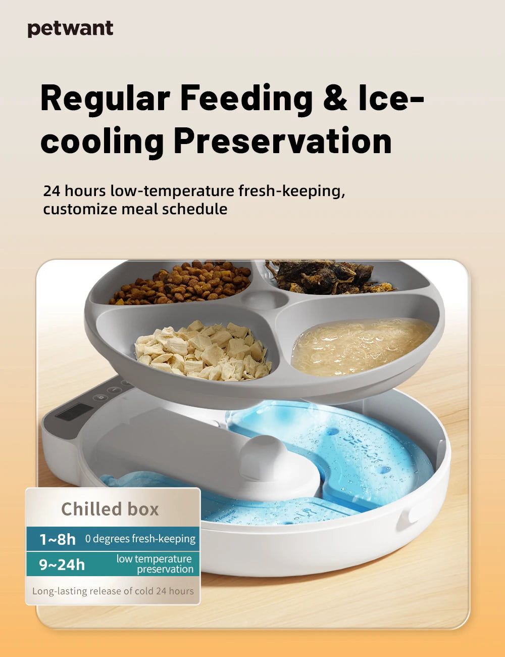 Automatic 4 Meal Pet Feeder with Large Capacity  Wet   Dry Food Fresh-Keeping Dispenser for Cats and Dogs